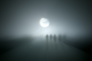 The Zombies Wandering Through The Fog