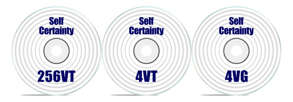 Self Certainty